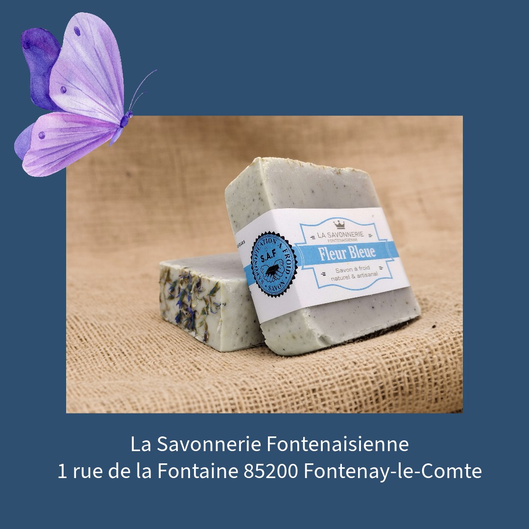 408890859_372104771876765_2904459791788887425_n