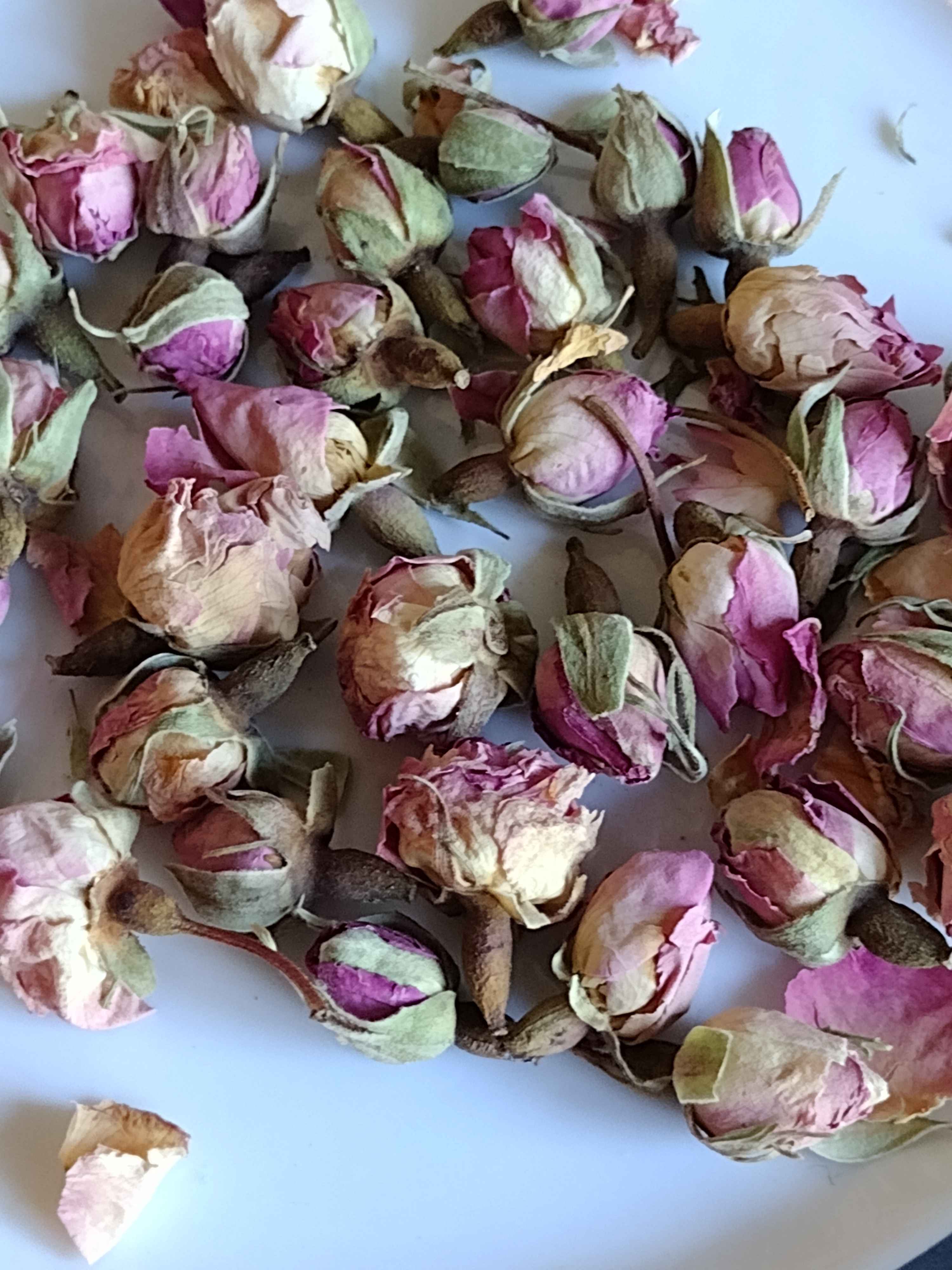 IMG_20240920_092607051